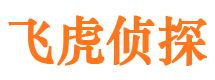 贵定市私家侦探